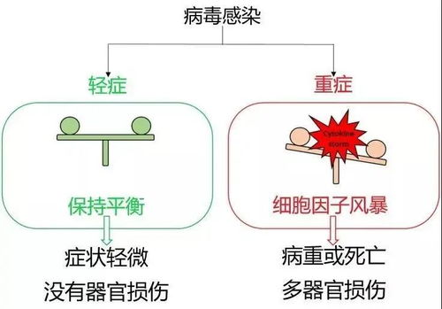 大麻素 双向免疫调节的新前沿与新冠治疗中的潜力