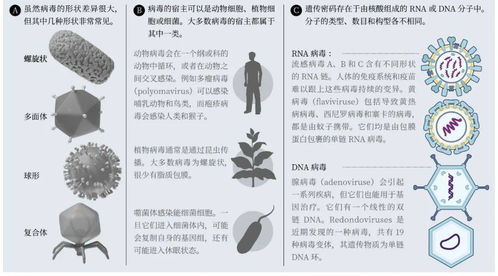 你的身体，是380万亿病毒的星际家园